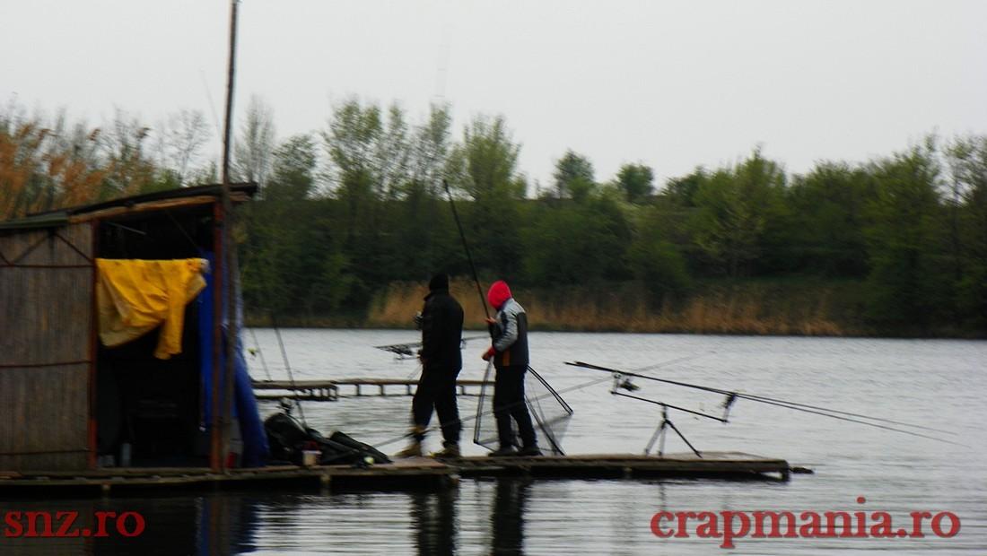 GREENFISH 2 - 1000345.jpg